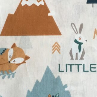 Little Adventure (hiver)